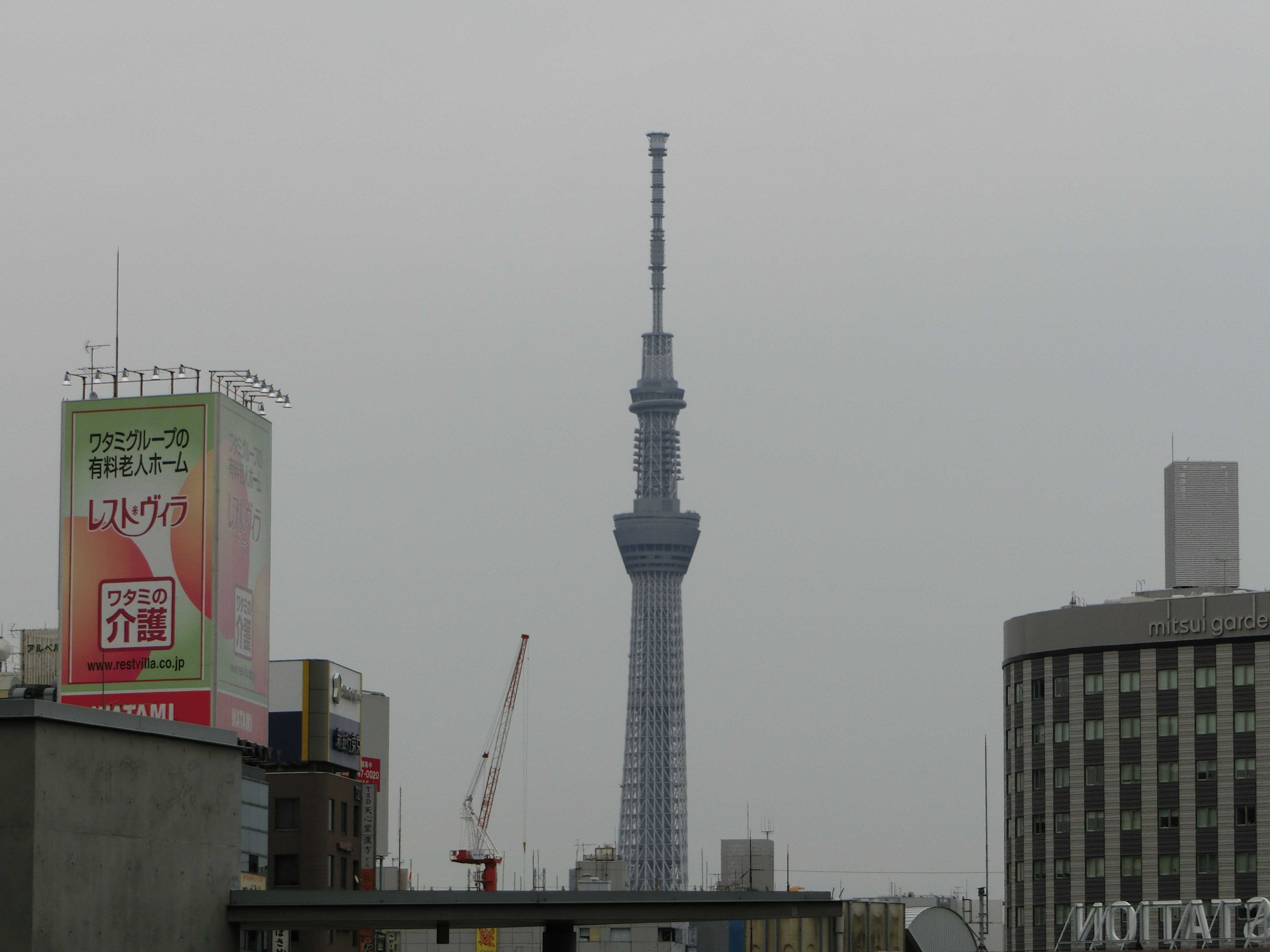 成都行