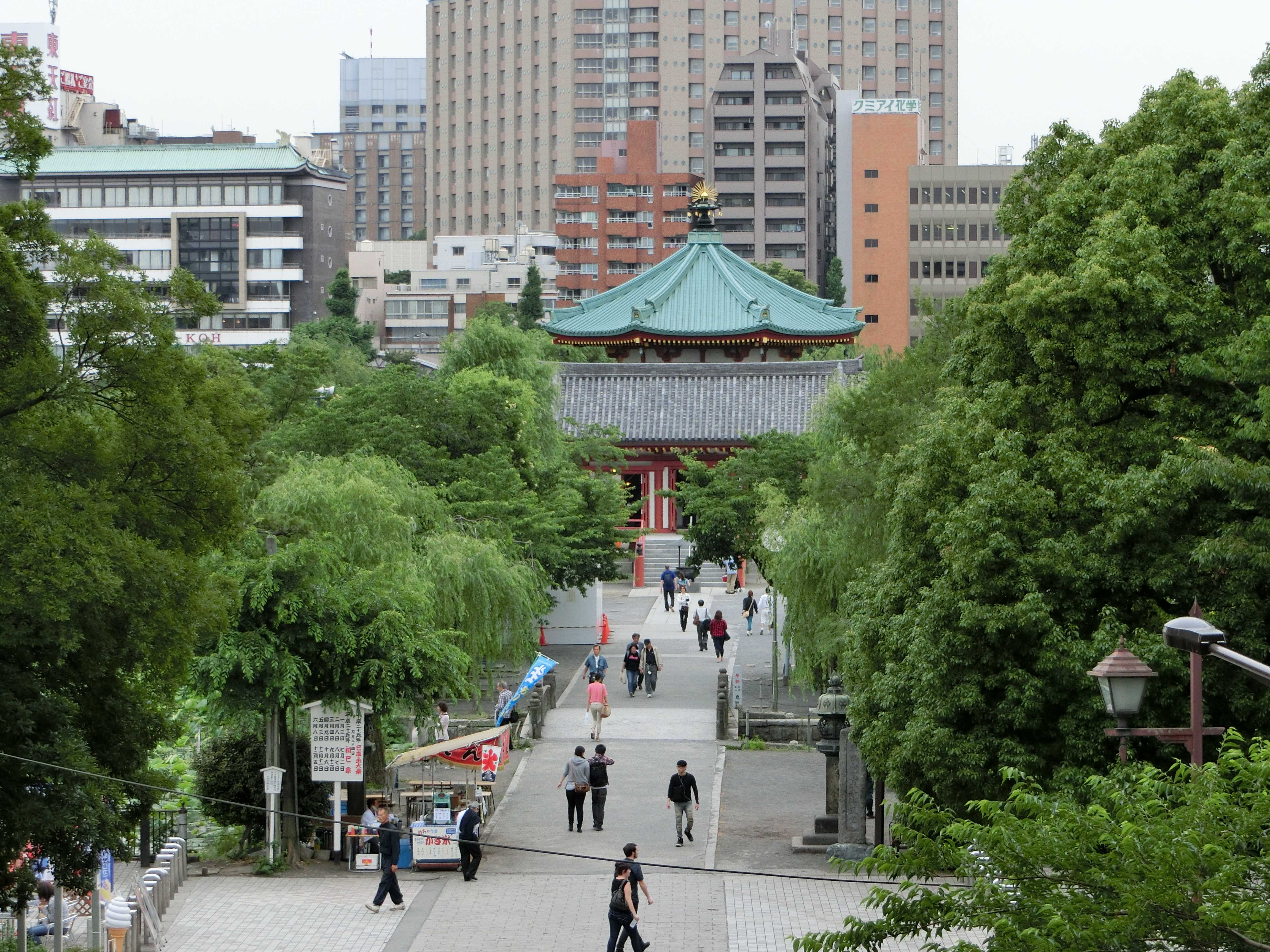 成都行