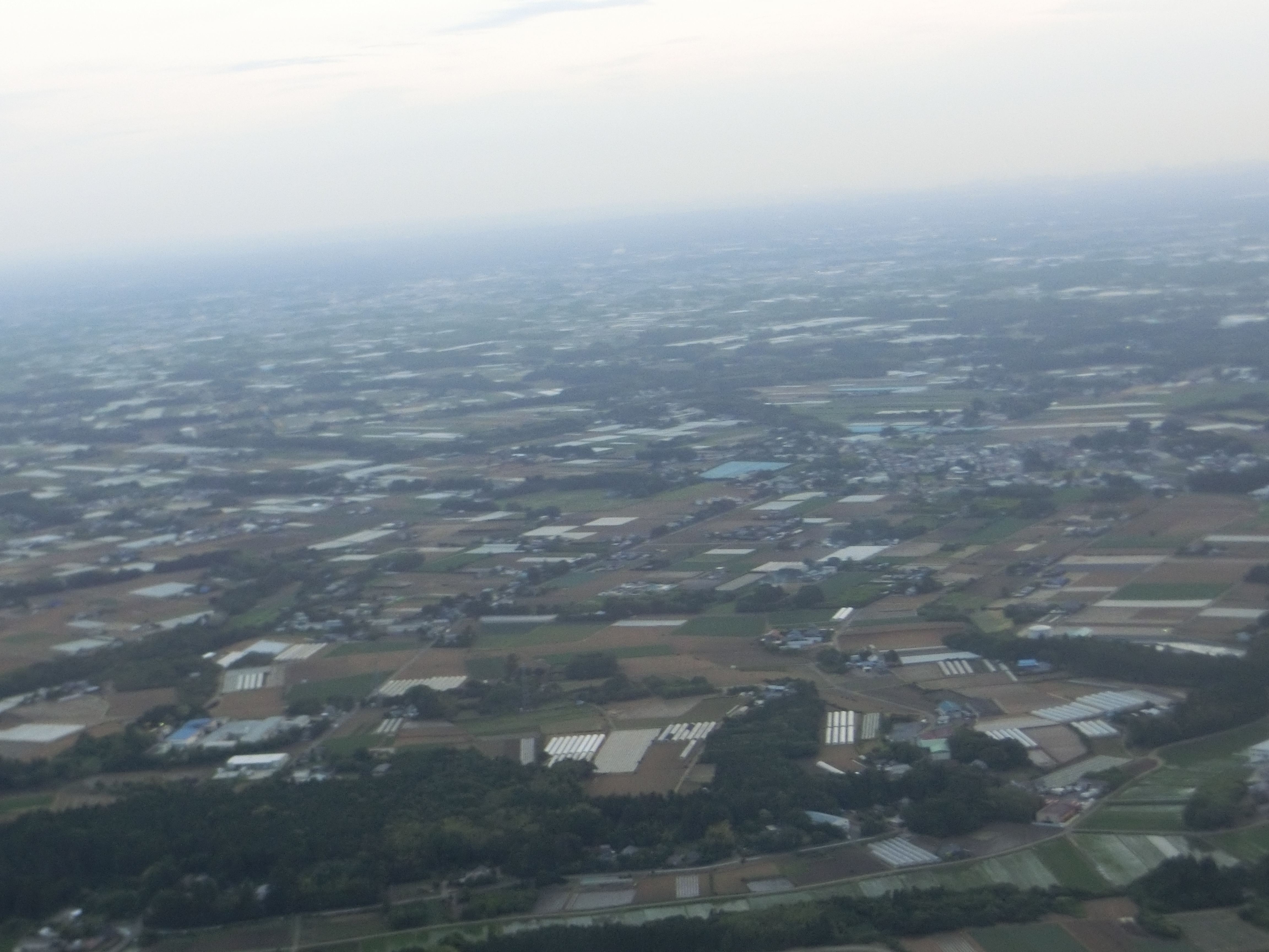 成都行